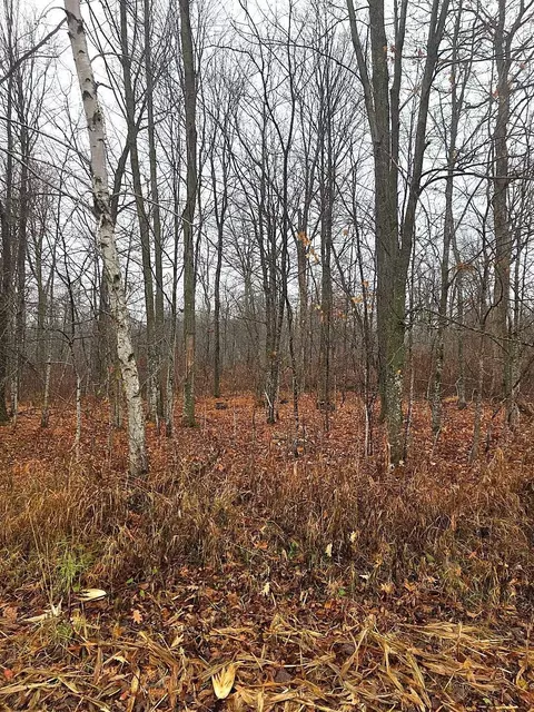 1141 12th Ave, Barron, WI 54812 photo 13