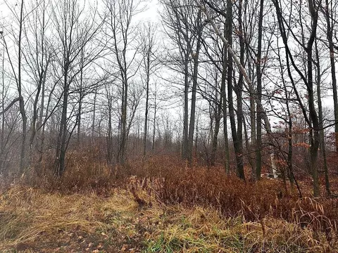 1141 12th Ave, Barron, WI 54812 photo 11