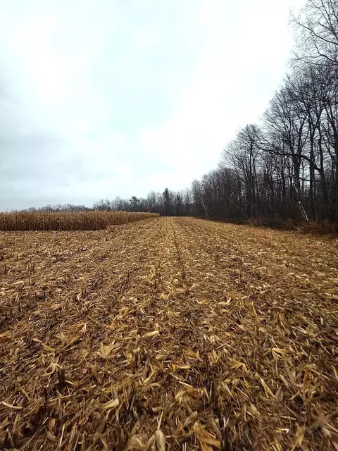 1141 12th Ave, Barron, WI 54812 photo 15