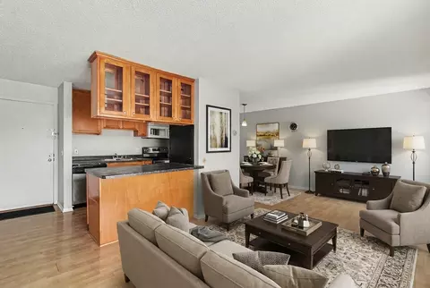 Living - 4110 Rahn Rd #201, Eagan, MN 55122 photo 4 of 6