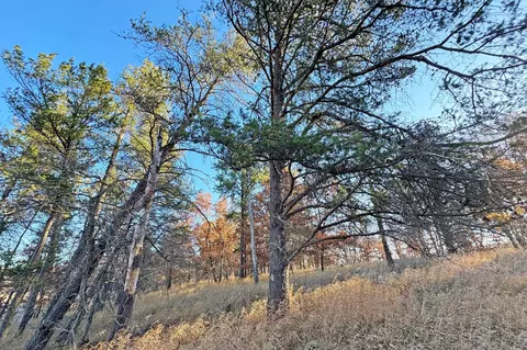 000 Beaver Dam Rd, Brainerd, MN 56401 photo 19