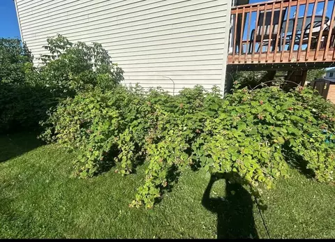 2814 Addison Ave, Brainerd, MN 56401 photo 37