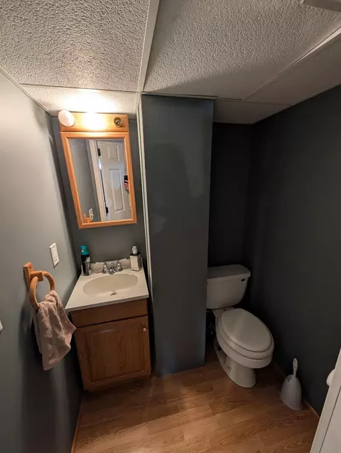 209 E Cabot St, Le Roy, MN 55951 photo 19