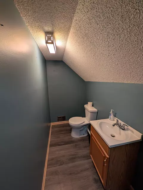 209 E Cabot St, Le Roy, MN 55951 photo 14