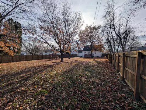 209 E Cabot St, Le Roy, MN 55951 photo 21