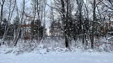 tbd Spruce Cir, Garrison, MN 56450 photo 2
