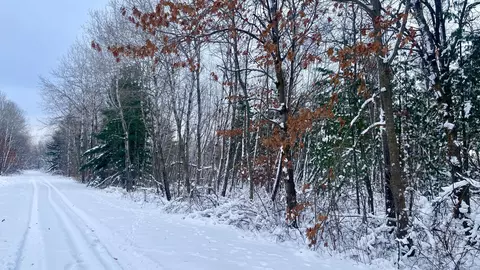 tbd Spruce Cir, Garrison, MN 56450