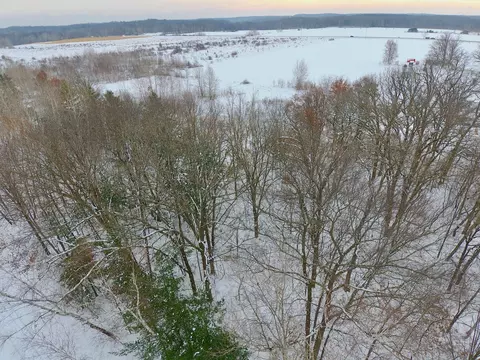 tbd Spruce Cir, Garrison, MN 56450 photo 5