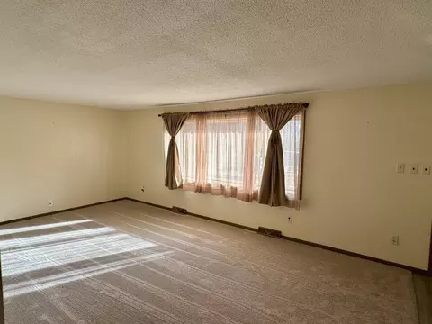 Living - 291 E 1st St, Morton, MN 56270 photo 3 of 3