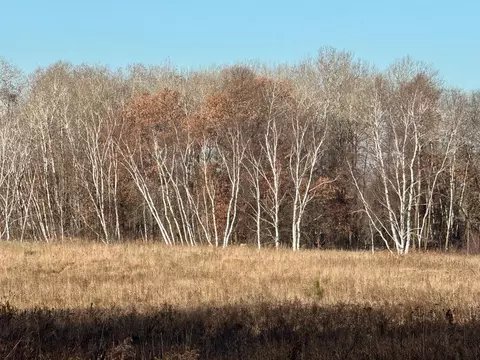 26 Nnn 175th Ave, Fort Ripley, MN 56449