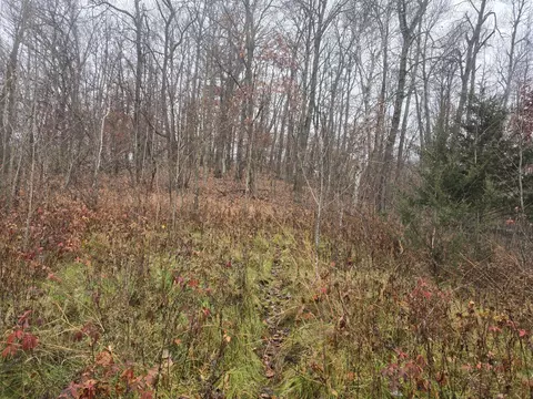 Nnnn 244th St N, Scandia, MN 55073
