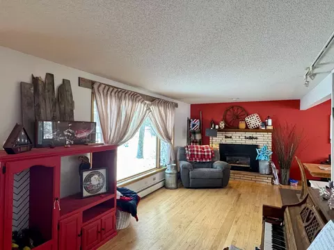 Living - 111 Cherry Ave, Bird Island, MN 55310 photo 4 of 4