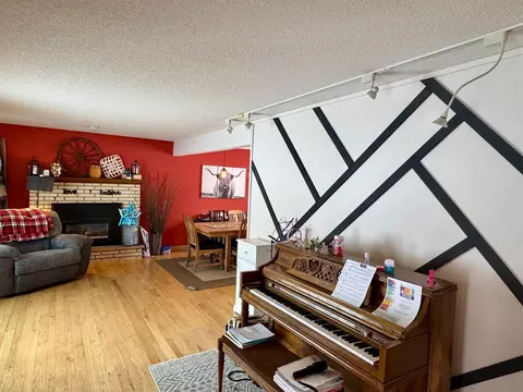 Living - 111 Cherry Ave, Bird Island, MN 55310 photo 3 of 4