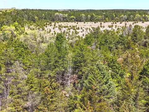 tbd Pine Rd NW, Rice, MN 56367 photo 9