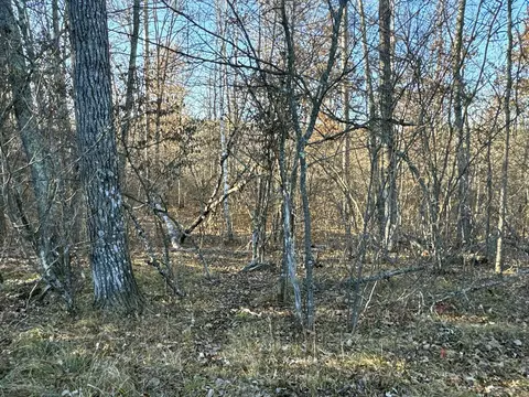 tbd Pow Rd, Springbrook, WI 54875 photo 9