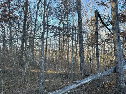 tbd Pow Rd, Springbrook, WI 54875 photo 7