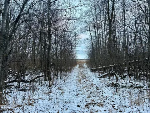 tbd 160th St NE, Thief River Falls, MN 56701