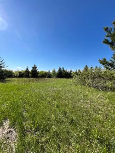 lot3 Tbd 330th St, Warroad, MN 56763