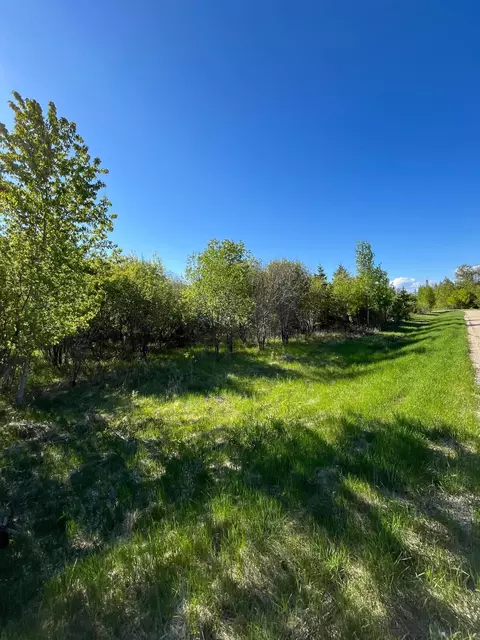 lot4 Tbd 330th St, Warroad, MN 56763