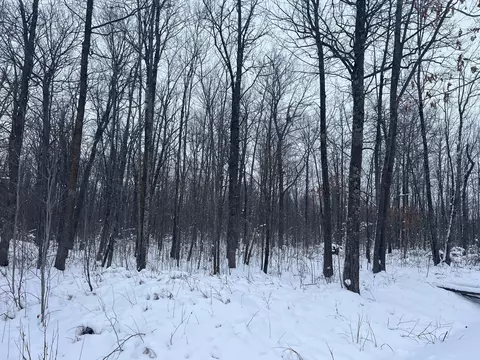 Other - 12246 250th St, Milaca, MN 56353 photo 10 of 10