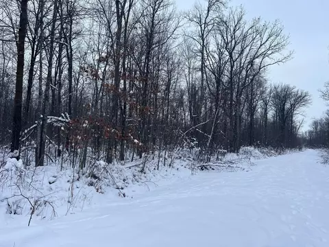 Other - 12246 250th St, Milaca, MN 56353 photo 8 of 10