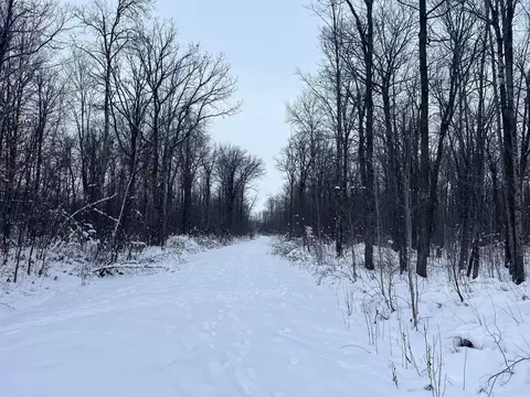 Other - 12246 250th St, Milaca, MN 56353 photo 6 of 10