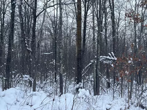 Other - 12246 250th St, Milaca, MN 56353 photo 9 of 10