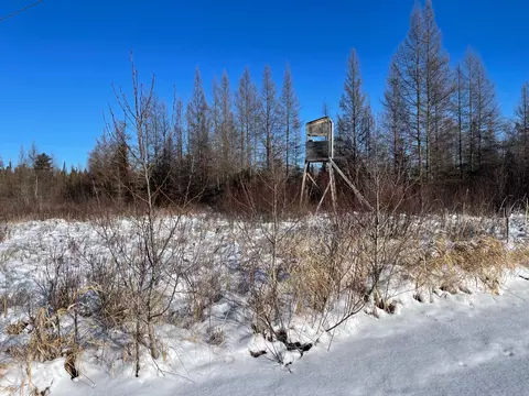 508 Cedar Valley Rd, Floodwood, MN 55736