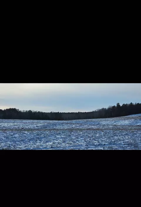 tbd 219th, Nevis, MN 56467 photo 5