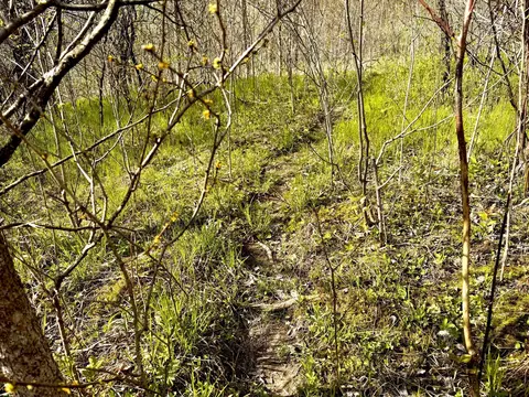tbd County Line Ave, Black Brook Twp, WI 54005