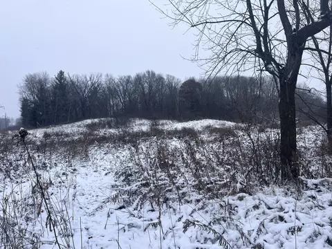 tbd County Line Ave, Black Brook Twp, WI 54005