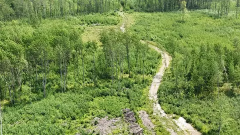17 E County Rd, Mizpah, MN 56660