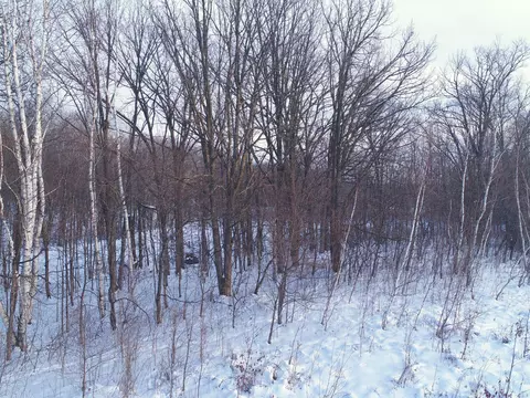 158 Ac 110th St, Frederic, WI 54837 photo 11