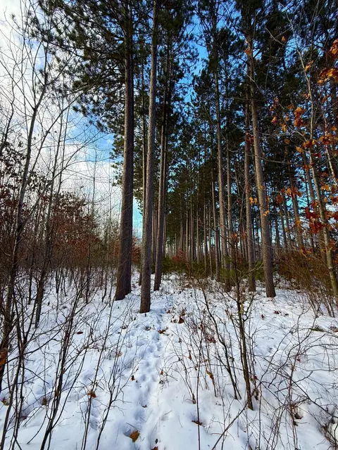 tbd Sand River Rd, Hinckley, MN 55037