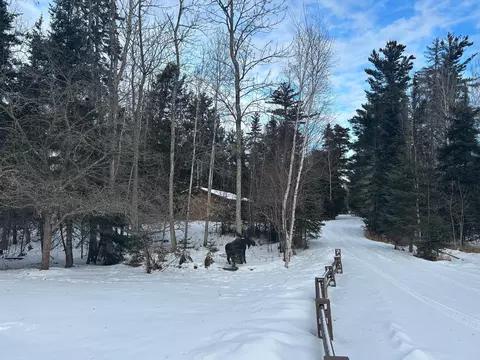 1302 Old North Shore Rd, Duluth, MN 55804 photo 30