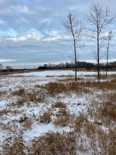 tbd E Parcel 3 E Pine Dr, Angle Inlet, MN 56711 photo 10