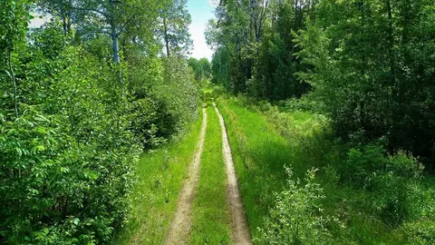 tbd E Parcel 3 E Pine Dr, Angle Inlet, MN 56711 photo 15