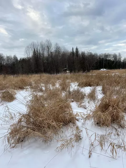 tbd E Parcel 3 E Pine Dr, Angle Inlet, MN 56711 photo 11
