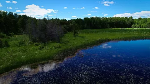 tbd E Parcel 3 E Pine Dr, Angle Inlet, MN 56711 photo 5