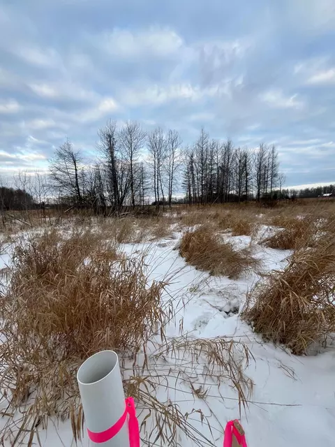 tbd E Parcel 3 E Pine Dr, Angle Inlet, MN 56711 photo 12