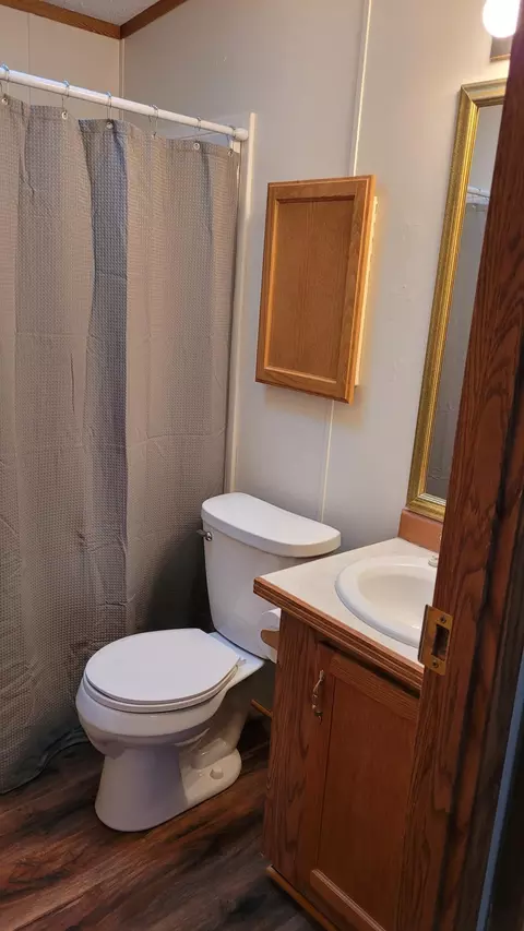 Bath - 2901 Laura Rose Cir, Pine River, MN 56474 photo 4 of 4
