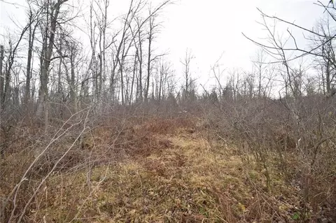 0 Cummings Rd, Danbury, WI 54830