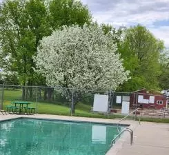 2945 County Road 4 Apt 65 SW, Cokato, MN 55321