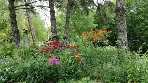 2945 County Road 4 Apt 120 SW, Cokato, MN 55321