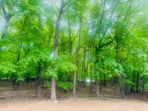 25725 Birch Bluff Rd, Excelsior, MN 55331