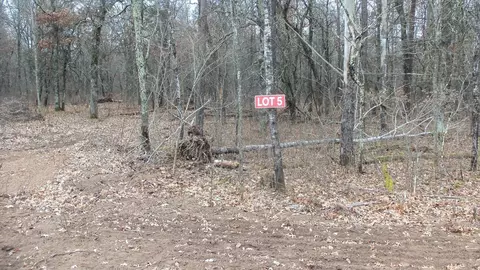 lot5 Cnute Creek Trl, Grantsburg, WI 54840