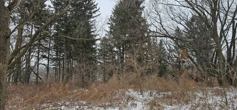 15737 403rd Ave, Canton, MN 55922 photo 7