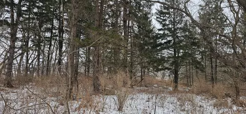 15737 403rd Ave, Canton, MN 55922 photo 3