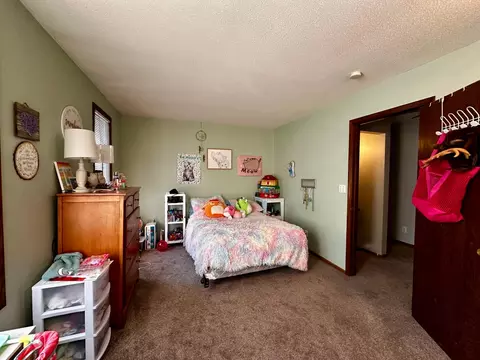 205 N 3rd St, Canton, MN 55922 photo 24