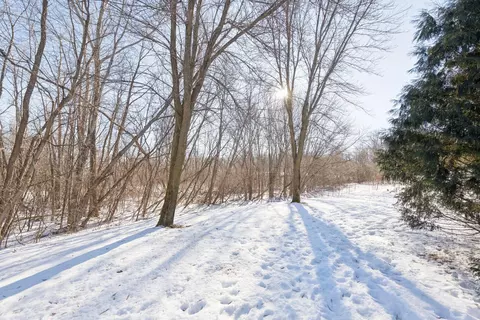 4757 S Lake Sarah Dr, Maple Plain, MN 55359 photo 60